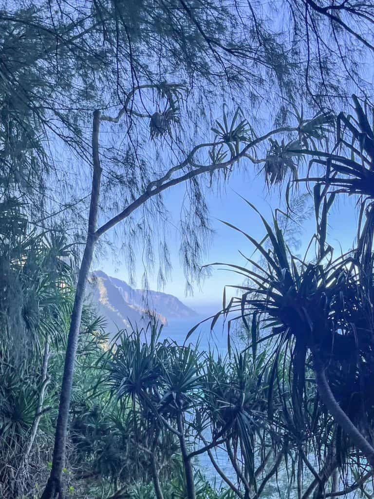 a view of the Na Pali coast's rugged cliffs through tropical foliage