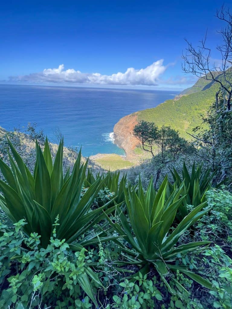 a stunning view from the Kalalau Trail on the Na Pali Coast of the green cliffs and ocean