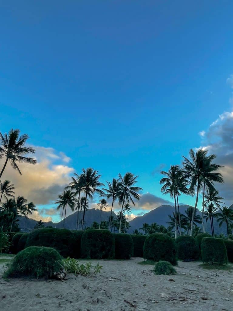 A view from Hanalei Bay of a stunning mountain backdrop at sunset. Palm trees and yellow sand.