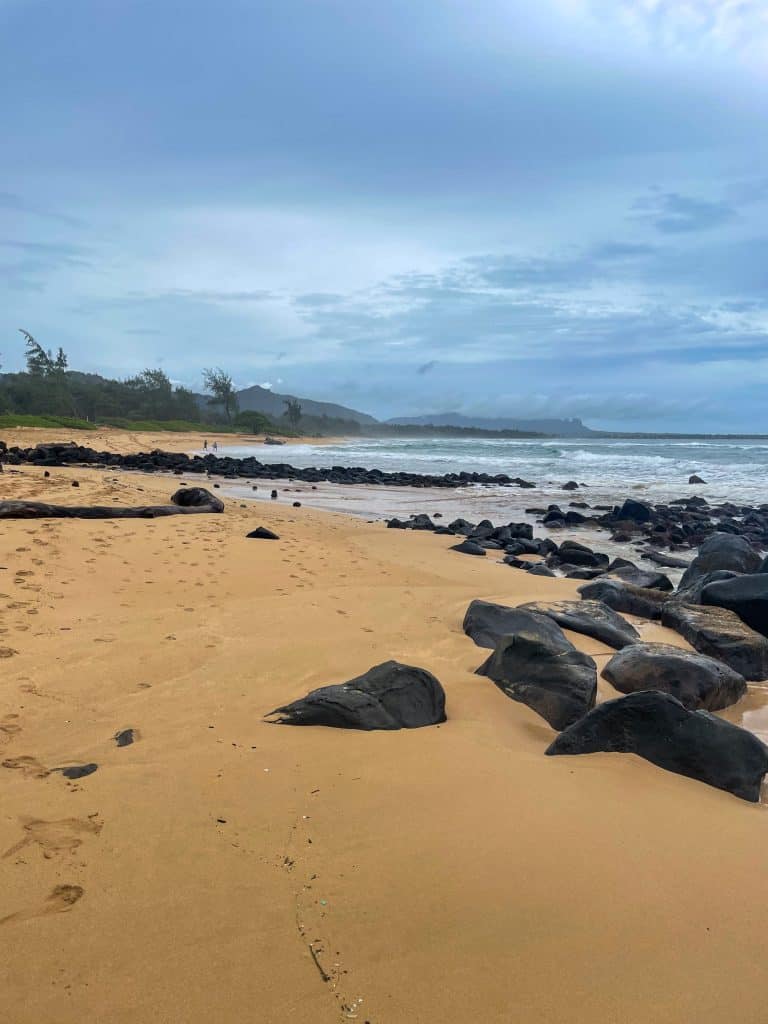 a yellow sand beach in Kauai